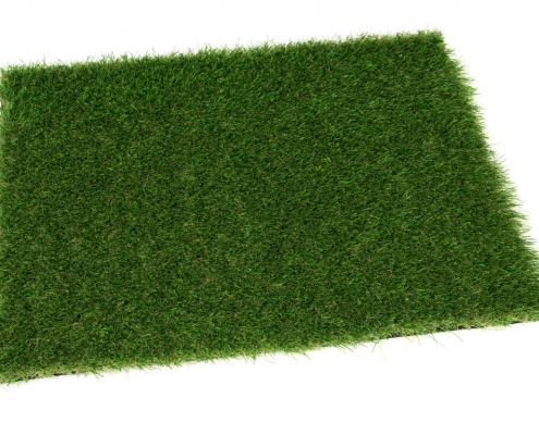 Landschap – Fivestargrass